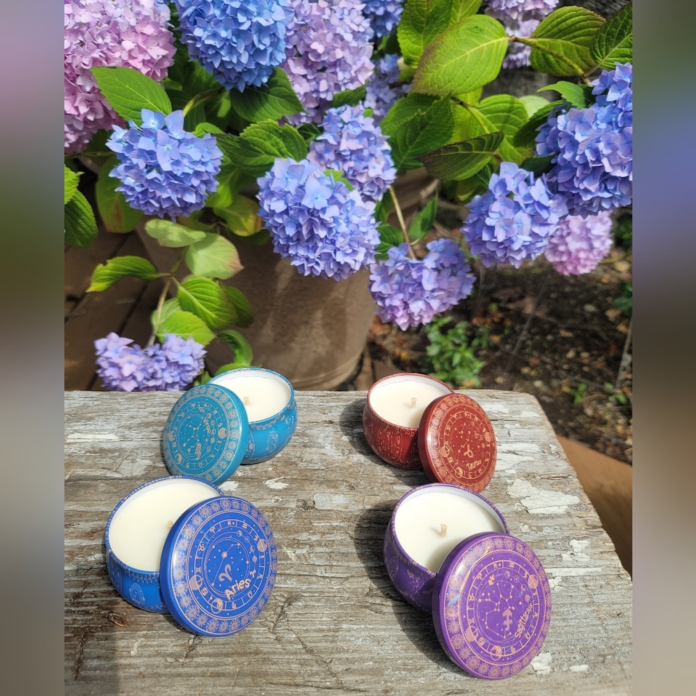 Star sign soy candle fruit scented